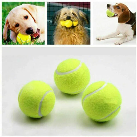 PawLaunch Pro