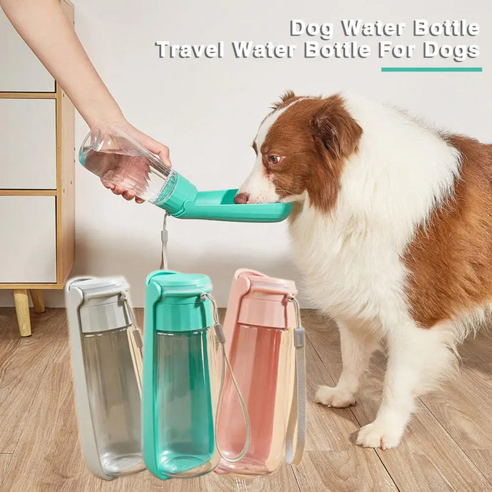 Portable Pet Water Bottle – Leakproof Dog & Cat  | Foldable Bowl