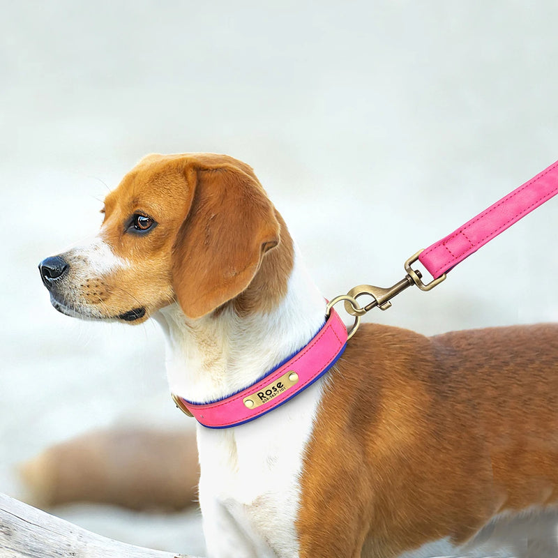 Load image into Gallery viewer, Personalized Leather Dog Collar &amp; Leash Set with Engraved Nameplate
