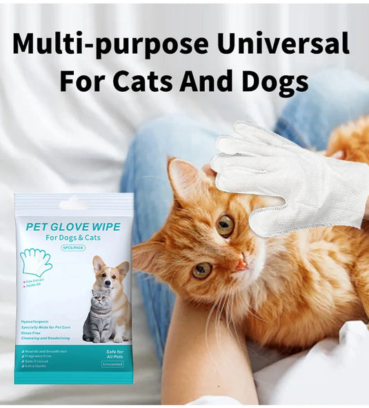 Pet Disposable Gloves for Grooming
