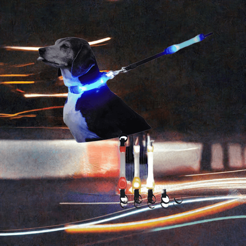 Load image into Gallery viewer, Dog Anti Lost Safety Glowing Collar Outdoor Waterproof Warning LED
