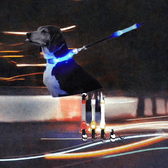 Dog Anti Lost Safety Glowing Collar Outdoor Waterproof Warning LED